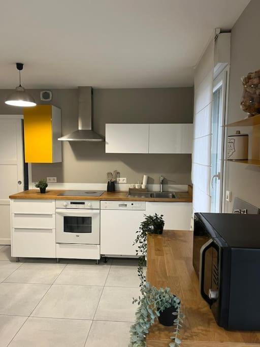 La Maison Du Bonheur 70 M² Saint-Amand-les-Eaux Bagian luar foto